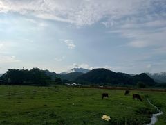 -罗坑大草原