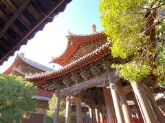 -报恩寺(平武县)