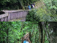-光雾山旅游景区