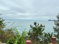 -广东惠东海龟国家级自然保护区