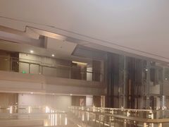 -南京禄口机场雅高铂尔曼大酒店