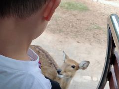 -清迈夜间动物园