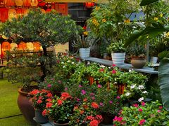 -山水茶艺馆·点心粤菜·30年老字号