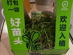 -海底捞火锅(宇飞大厦店)