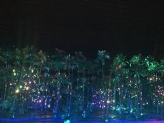 -三亚红色娘子军演艺公园景区