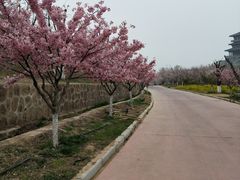 -古柏渡飞黄旅游区