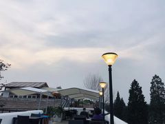 -素心小筑(后沙裕镇店)