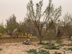 -兰州财经大学(和平校区)