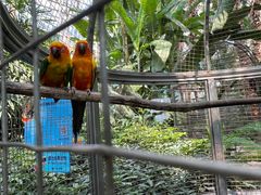 -大连森林动物园