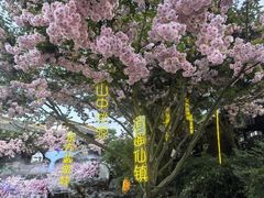 -茅山东方盐湖城景区