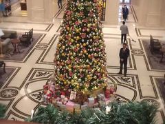 -大连城堡豪华精选酒店·宴会厅