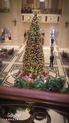 -大连城堡豪华精选酒店·宴会厅