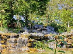 -东莞植物园