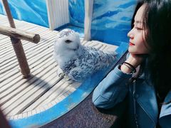 -成都浩海立方海洋公园