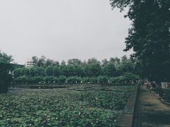 -四川大学(望江校区)