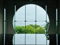 -逸廊大堂吧-下午茶·简餐-千岛湖自由洲际殿