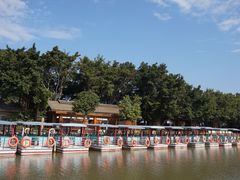 -大湾区中央湿地公园