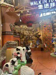 -卡通尼·Safari非洲探索乐园·生日会(金桥国际商业广场店)