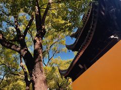-西园戒幢律寺