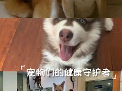 -瑞派申生动物医院·24H夜诊·国际动物医疗中心·骨外科(吴中路店)