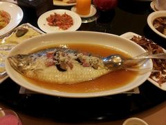 酒酿蒸鲥鱼-新南华大酒店(长寿店)