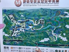 -野象谷景区