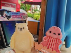 -上海海昌海洋公园