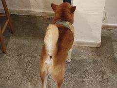 -三目仓咖啡(贤南路店)