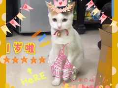 -可颂坊(中心书城店)