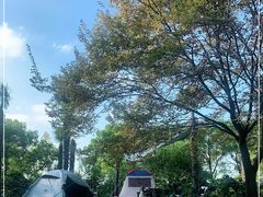 -上海滨江森林公园