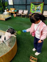 -可可天空农场(中大店)