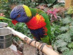 -南宫五洲植物乐园