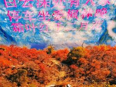 景点-周口店坡峰岭风景区