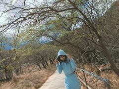 -钻石头山