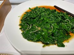 -鹿园 MOOSE(长宁店)