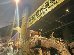 -陕西自然博物馆