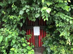 -斯多格书乡(北京大学畅春园店)