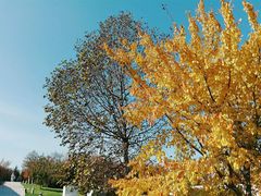 -长春世界雕塑园冰雪艺术天地