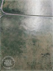 -BOJUE·铂爵造型烫发·染发