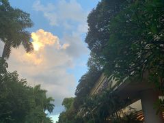 -深圳华侨城洲际大酒店