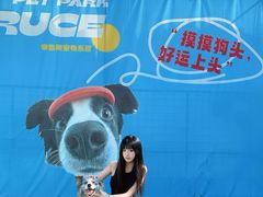 -昆明市博物馆(昆明市文物保护和考古研究中心)