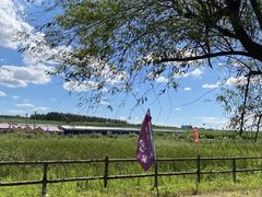 -北纬44度·金珠花海休闲农业旅游景区