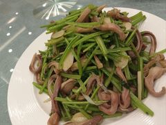 芫爆肚丝-鸿运楼烤鸭店(天桥店)