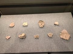 -广西壮族自治区博物馆