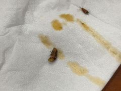 -三古月·老湖州面馆(梅地亚店)