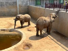 -西霞口神雕山野生动物世界