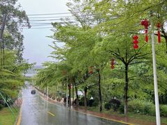 -黄埔油麻山森林公园