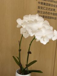 -广东韩妃整形外科医院