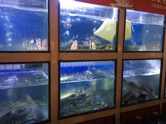水产区-老阿爸鲜鱼土菜(昆山花桥店)