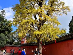 -金堂县云顶石城风景区